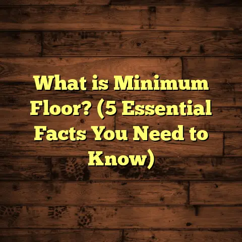 What is Minimum Floor? (5 Essential Facts You Need to Know)