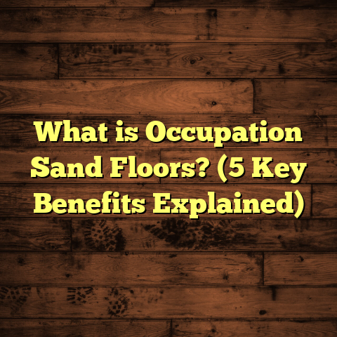 What is Occupation Sand Floors? (5 Key Benefits Explained)