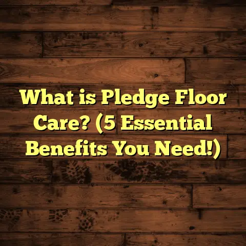 What is Pledge Floor Care? (5 Essential Benefits You Need!)