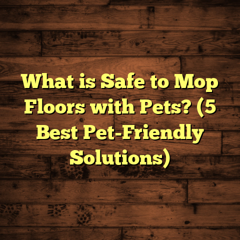 What is Safe to Mop Floors with Pets? (5 Best Pet-Friendly Solutions)