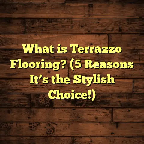 What is Terrazzo Flooring? (5 Reasons It’s the Stylish Choice!)