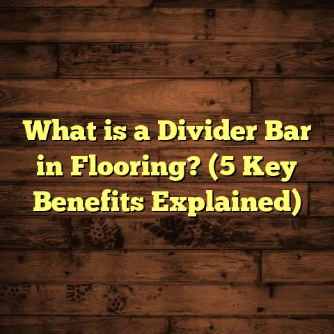 What is a Divider Bar in Flooring? (5 Key Benefits Explained)
