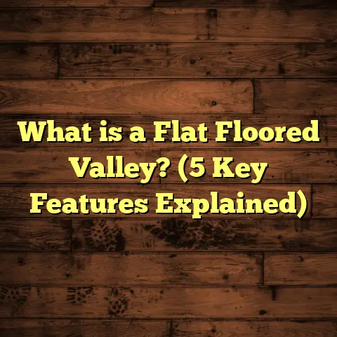 What is a Flat Floored Valley? (5 Key Features Explained)