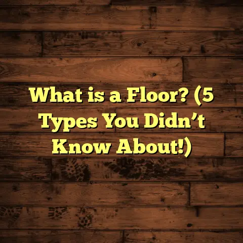 What is a Floor? (5 Types You Didn’t Know About!)
