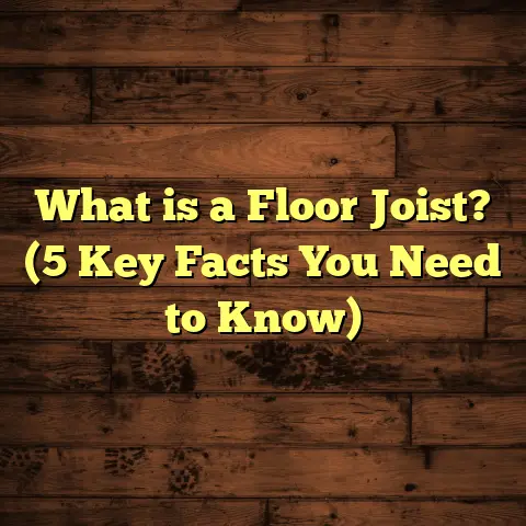 What is a Floor Joist? (5 Key Facts You Need to Know)