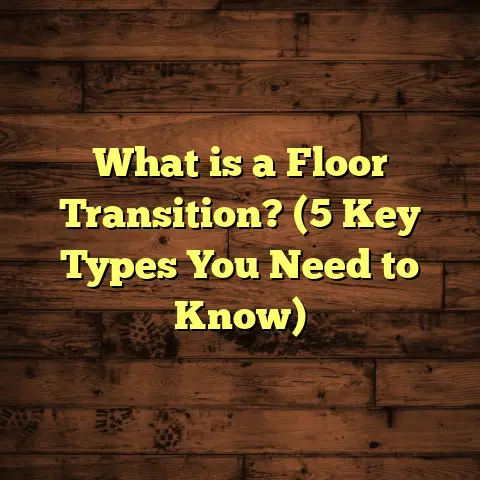 What is a Floor Transition? (5 Key Types You Need to Know)