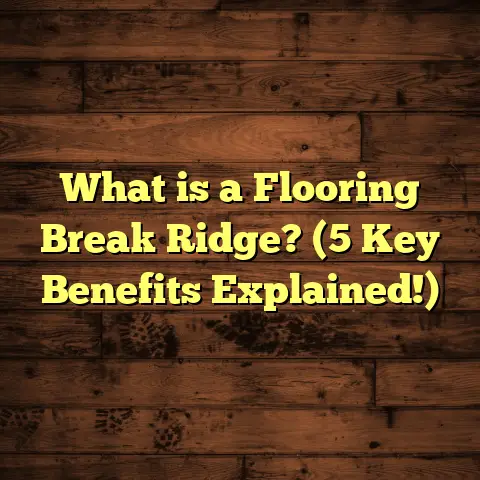 What is a Flooring Break Ridge? (5 Key Benefits Explained!)