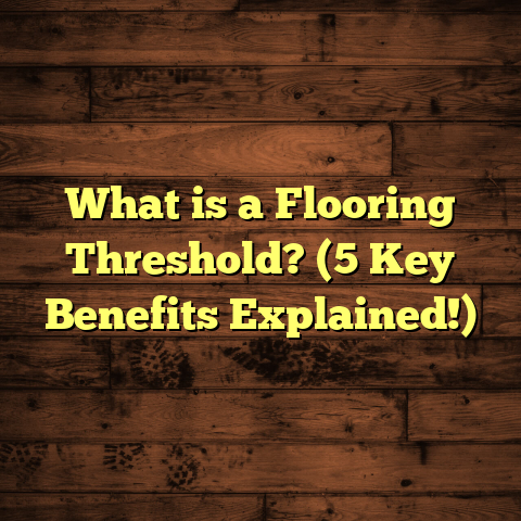 What is a Flooring Threshold? (5 Key Benefits Explained!)