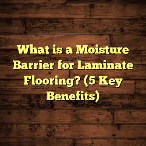 What is a Moisture Barrier for Laminate Flooring? (5 Key Benefits)