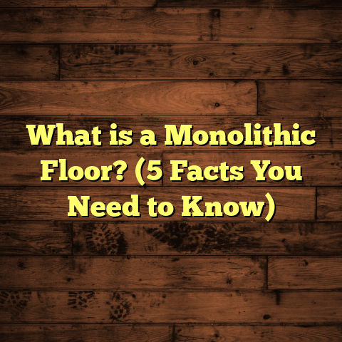 What is a Monolithic Floor? (5 Facts You Need to Know)