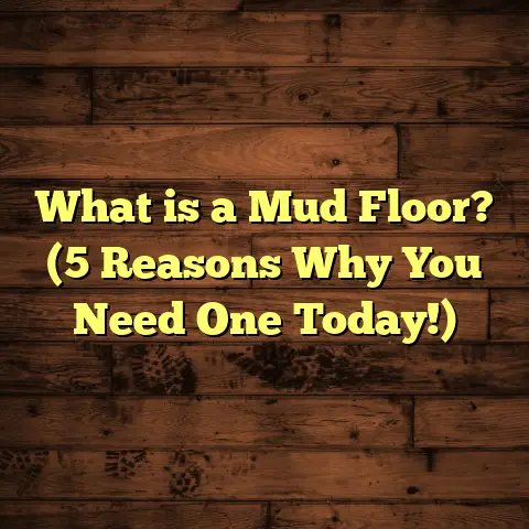 What is a Mud Floor? (5 Reasons Why You Need One Today!)