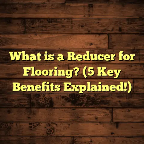 What is a Reducer for Flooring? (5 Key Benefits Explained!)