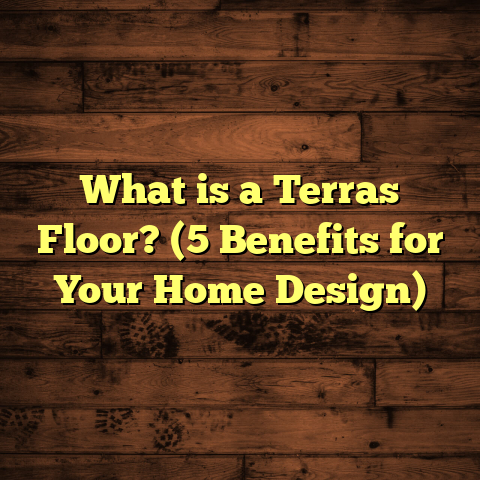What is a Terras Floor? (5 Benefits for Your Home Design)
