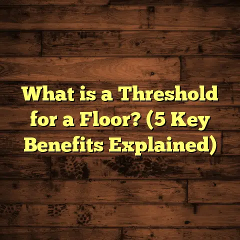 What is a Threshold for a Floor? (5 Key Benefits Explained)