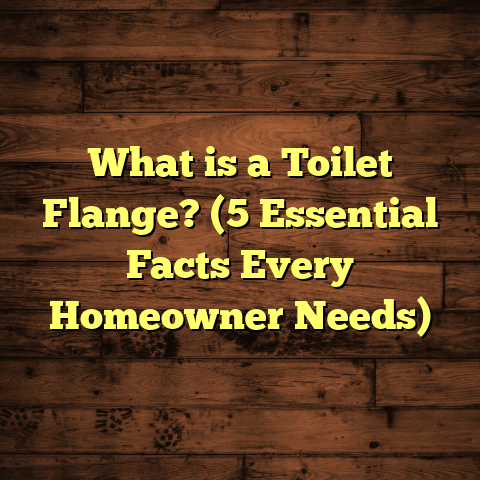 What is a Toilet Flange? (5 Essential Facts Every Homeowner Needs)