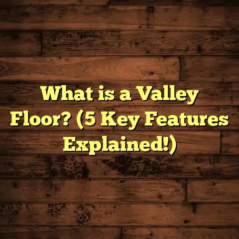 What is a Valley Floor? (5 Key Features Explained!)