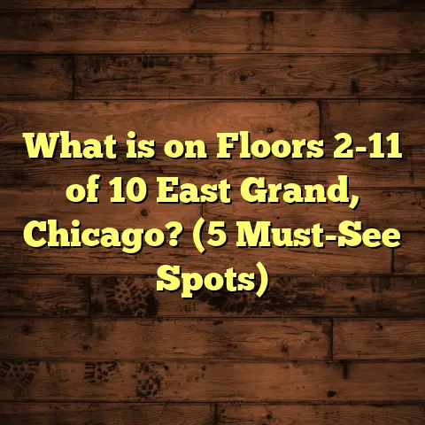 What is on Floors 2-11 of 10 East Grand, Chicago? (5 Must-See Spots)