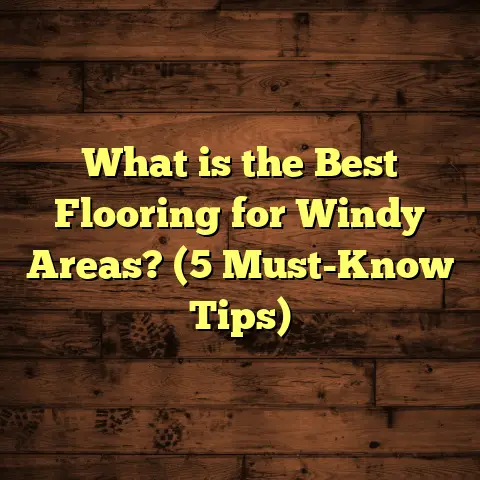 What is the Best Flooring for Windy Areas? (5 Must-Know Tips)